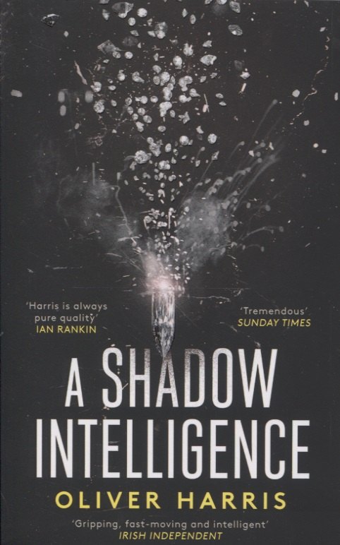 

A Shadow Intelligence