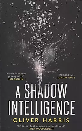 A Shadow Intelligence — 2812308 — 1