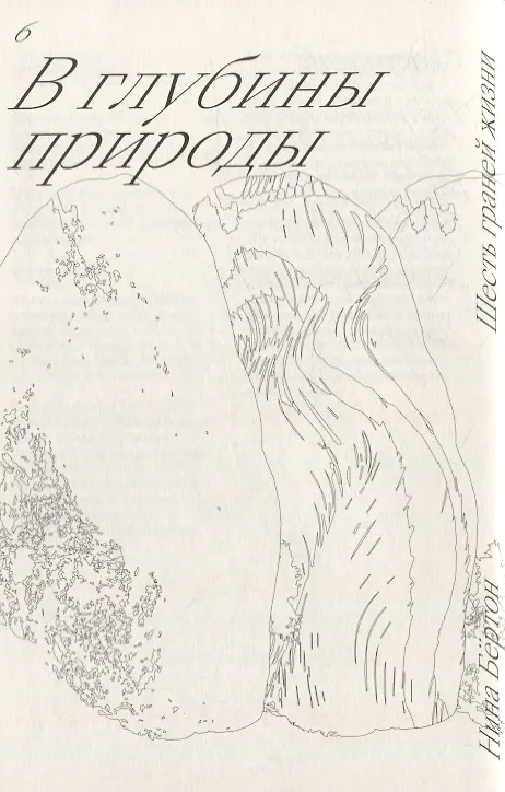 Книга Шесть граней жизни. Повесть о чутком доме и о природе, полной множества языков (Нина Бертон) — 5