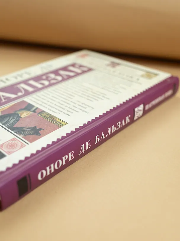 Книга Шагреневая кожа (Оноре де Бальзак) — 12