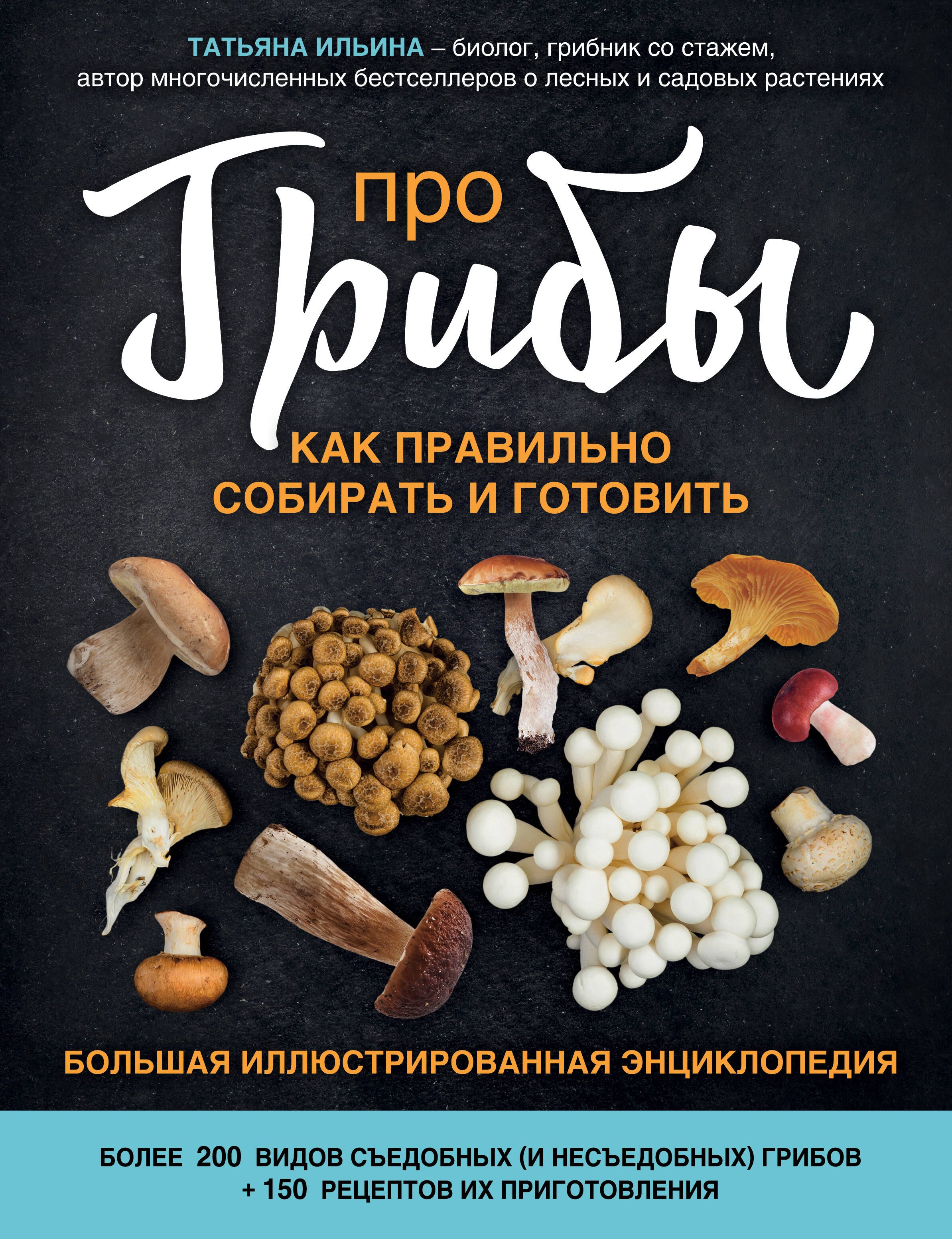

Про грибы. Как правильно собирать и готовить