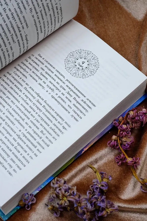 Книга Надлежащий подход (Ирина Сон) — 13