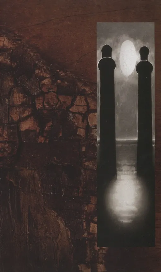 Книга Batman: Arkham Asylum The Deluxe Edition (Dave McKean, Грант Моррисон) — 6