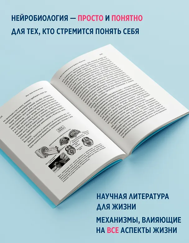 Книга Мозг: ваша личная история (Дэвид Иглмен) — 5