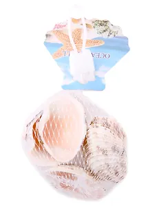 Декоративные ракушки плоские, 5 штук