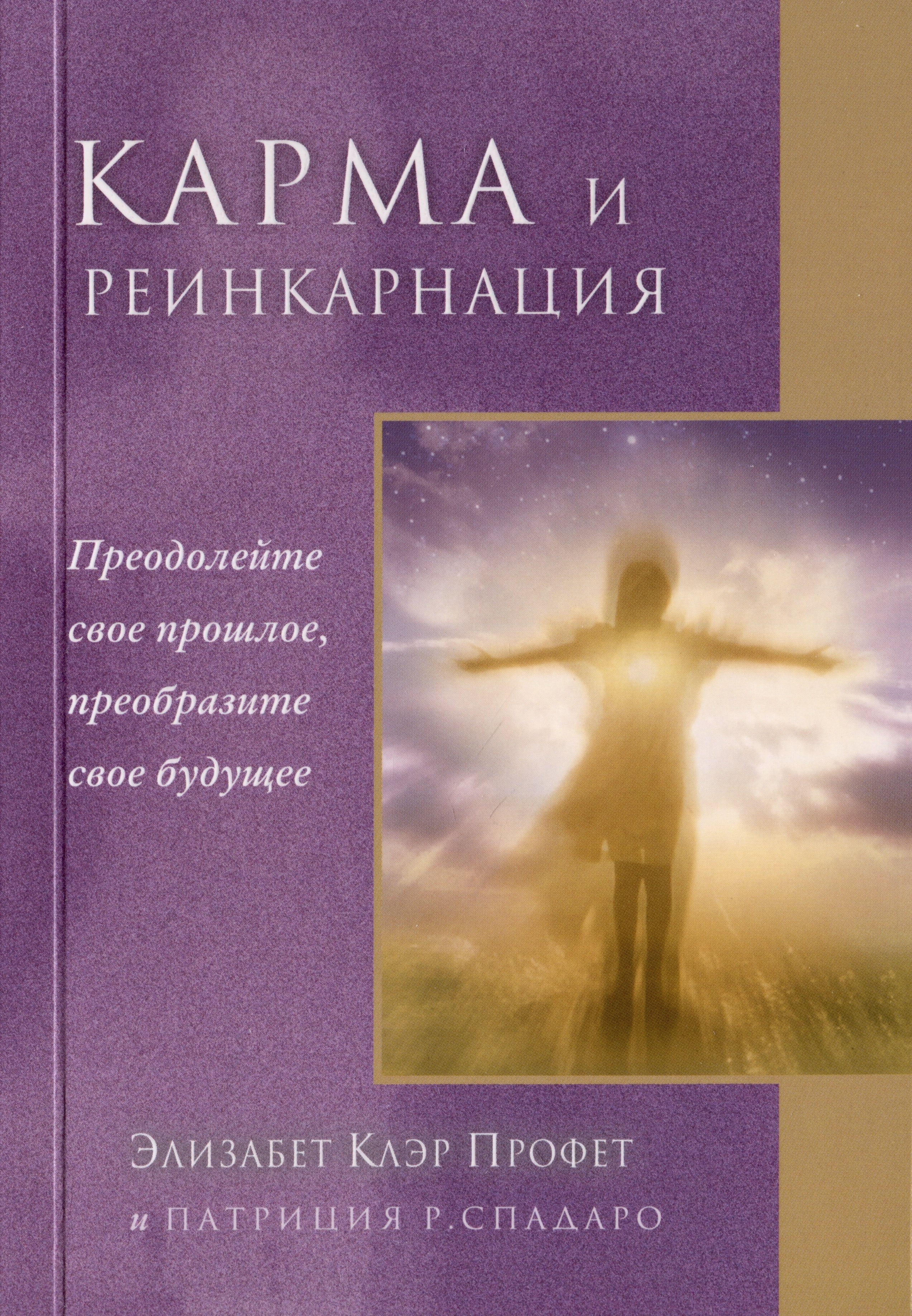 

Карма и реинкарнация. Преодолейте своё прошлое, преобразите своё будущее