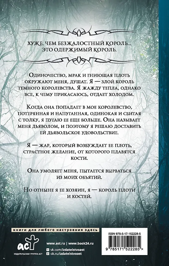 Книга Король плоти и костей: фантастический роман (Лив Зандер) — 2