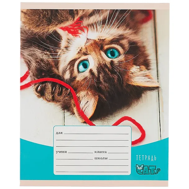 Тетрадь в клетку Listoff «Игривые котята» в ассортименте, 12 листов 259409 — 4