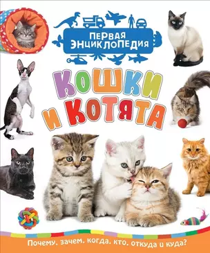 Кошки и котята (Первая энциклопедия) — 2688334 — 1