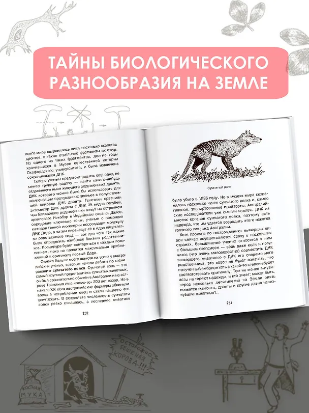 Книга Загадки генетики (Дмитрий Шитиков) — 6