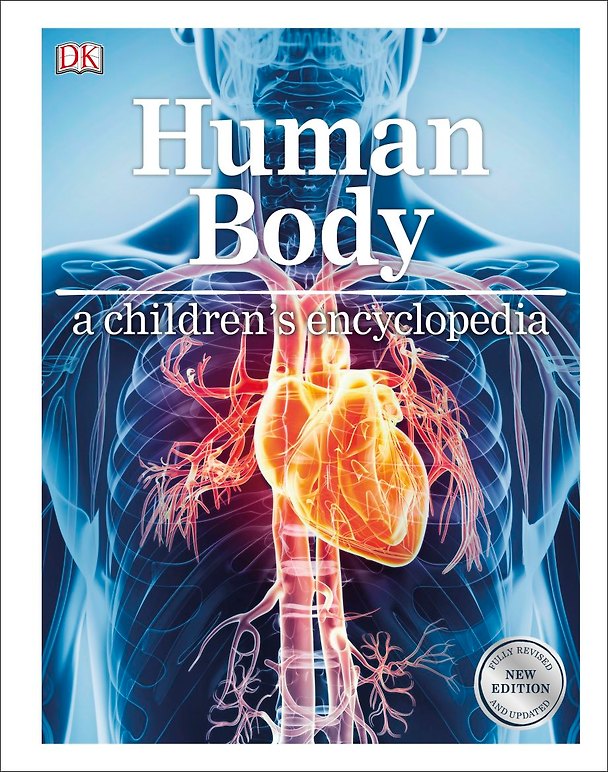 Книга Human Body. A children's encyclopedia () — 1