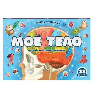 Мое тело: плакат с окошками