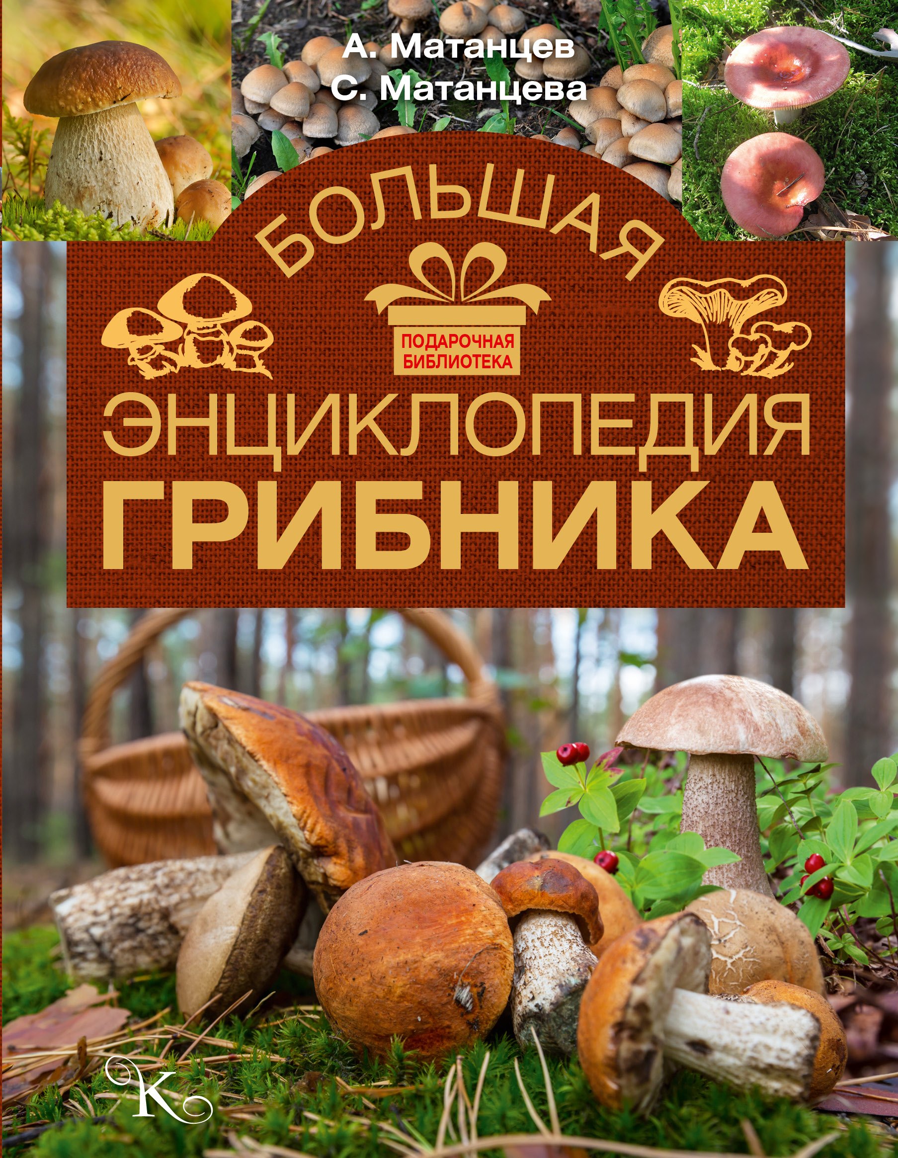 

Большая энциклопедия грибника