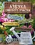 Азбука садового участка. Ландшафтный дизайн для начинающих — 2580422 — 1