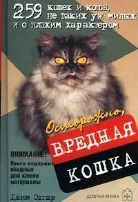 Осторожно, вредная кошка