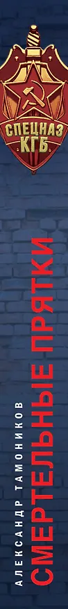 Книга Смертельные прятки (Александр Тамоников) — 3