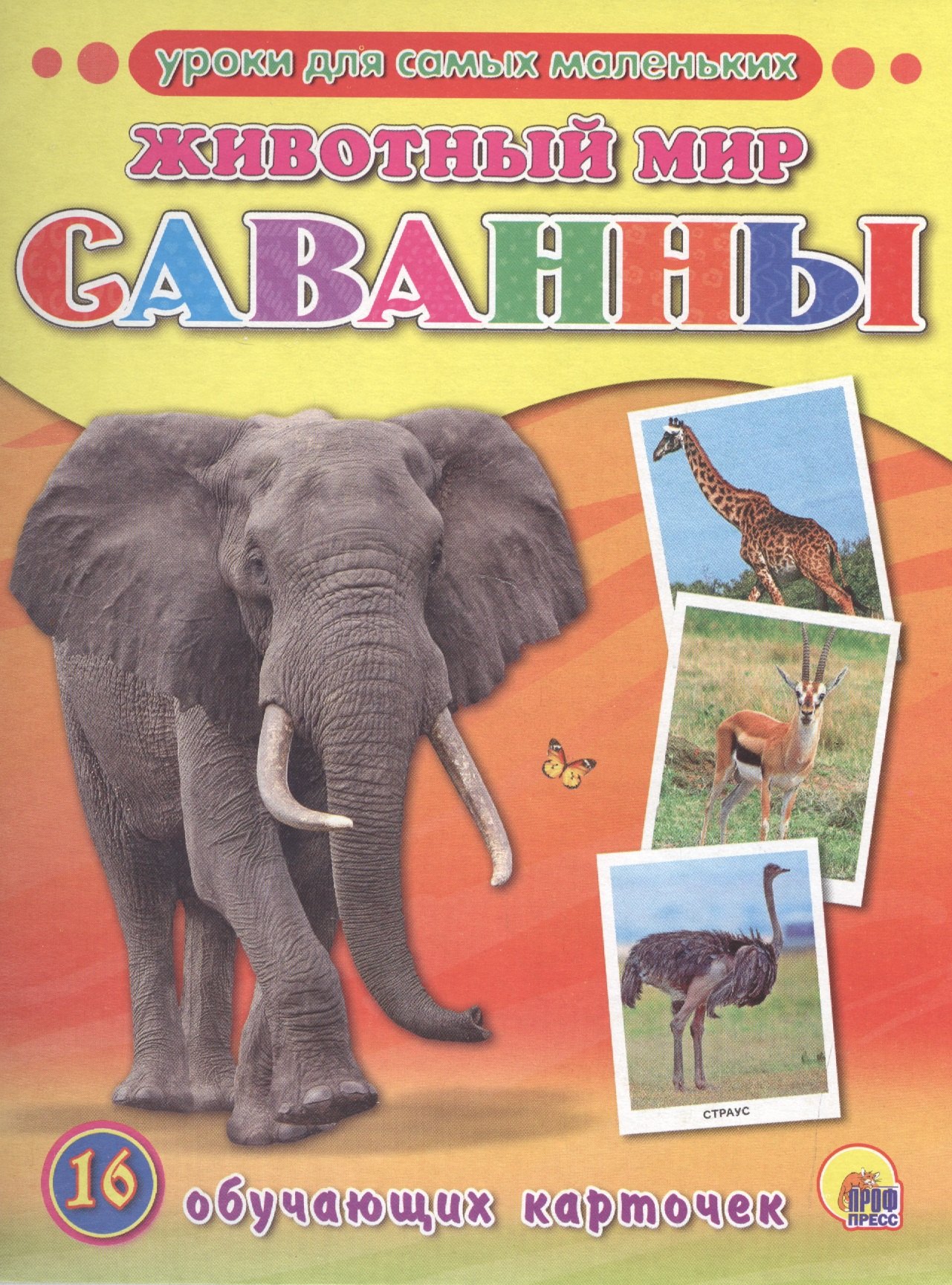 

Животный мир. Саванны