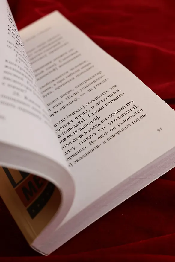 Книга Индийская книга мертвых () — 10