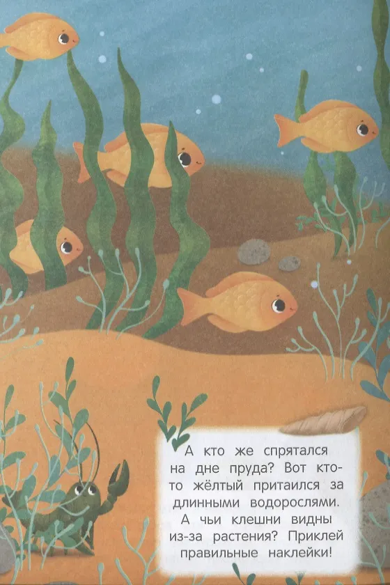 Книга В воде и под водой Найди меня () — 2