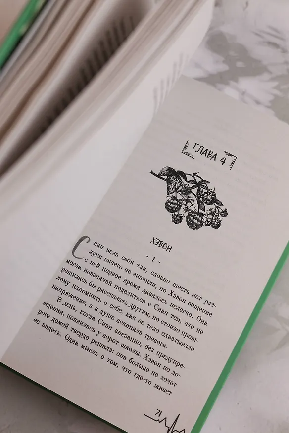 Книга Перечная мята (Оню Пэк) — 15