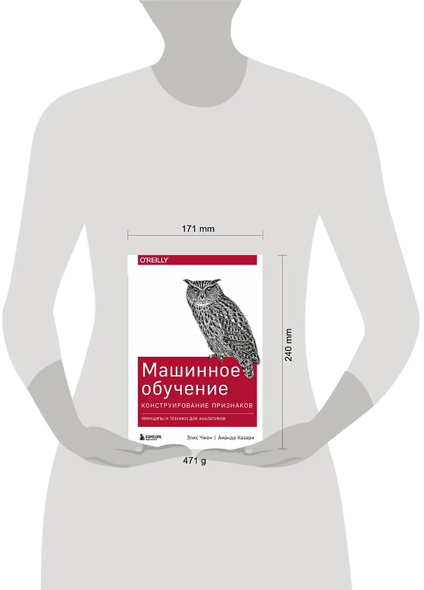 Книга Машинное обучение: Конструирование признаков. Принципы и техники для аналитиков (Элис Чжен) — 5
