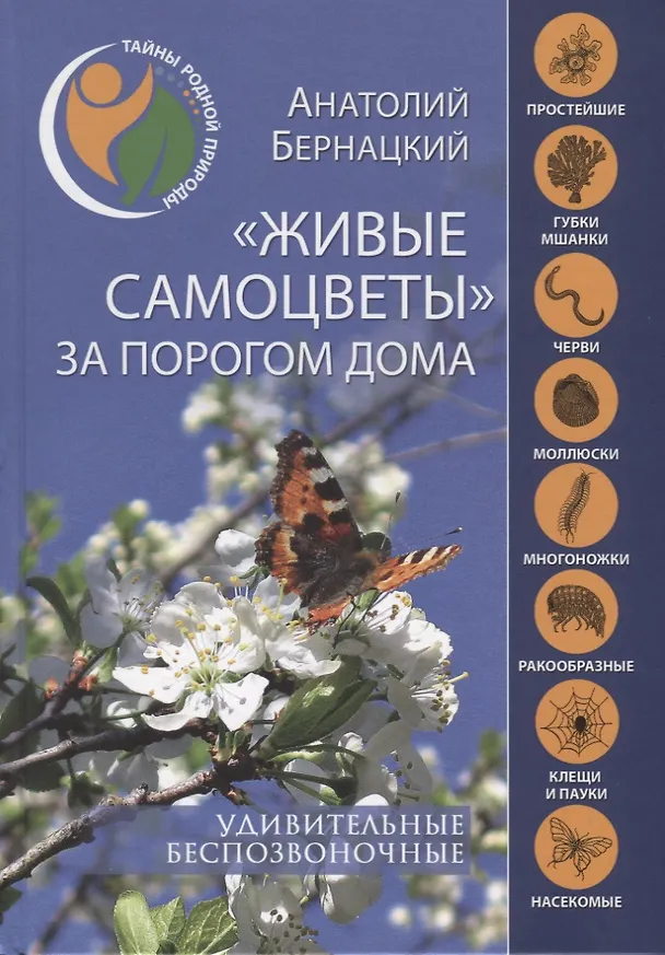 Книга "Живые самоцветы" за порогом дома (Анатолий Бернацкий) — 1