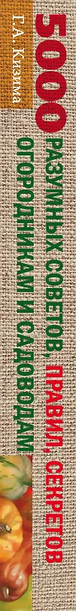 Книга 5000 разумных советов, правил, секретов садоводам и огородникам (Галина Кизима) — 3