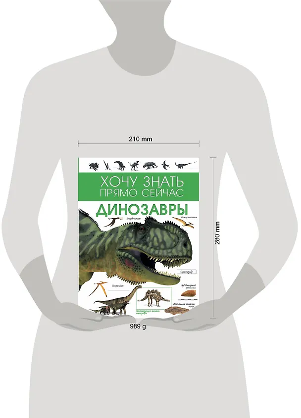 Книга Динозавры () — 4