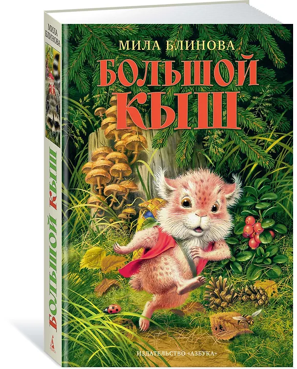 Книга Большой Кыш (Мила Блинова) — 2