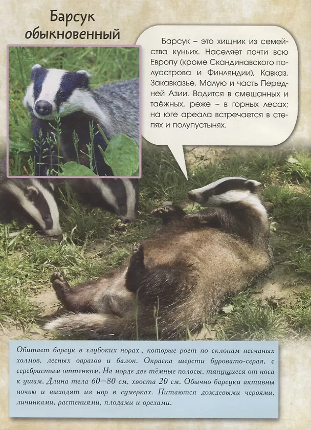 Книга Живой мир природы. Европа (Василий Климов) — 3