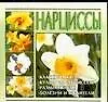 Книга Нарциссы (В. Волкова)