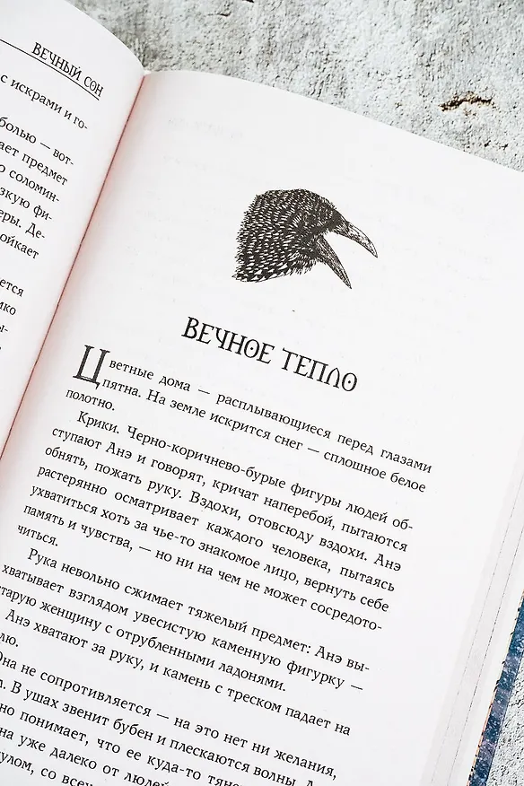 Книга Вечный сон (Анастасия Вайолет) — 12