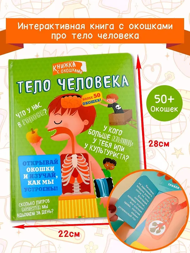 Книга Тело человека () — 4