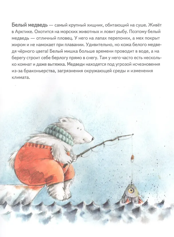 Книга Чудо в Новый год: как Белый Мишка нашёл друзей (Женя Григорьева) — 7