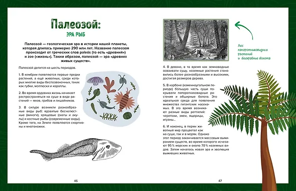 Книга Царство динозавров. Энциклопедия для детей (Орели Дефур) — 12