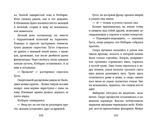 Книга Наоборотный мир (Гульшат Абдеева) — 13