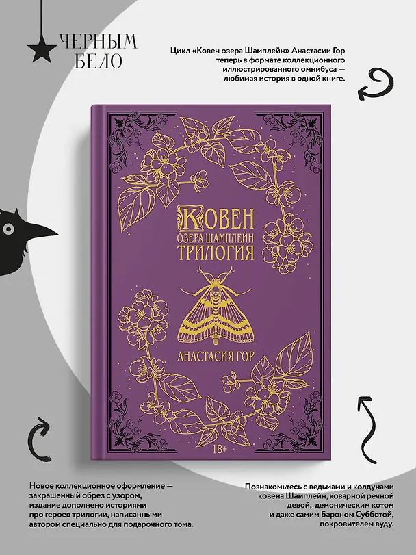 Книга Ковен озера Шамплейн. Трилогия (Подарочное издание) (Анастасия Гор) — 8