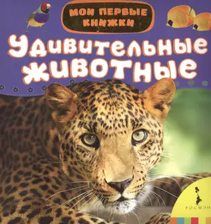 Удивительные животные — 2498073 — 1