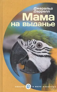 Мама на выданье
