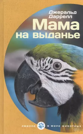 Мама на выданье — 2524556 — 1