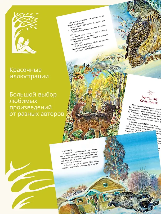Книга Рассказы о животных (Виталий Бианки) — 6