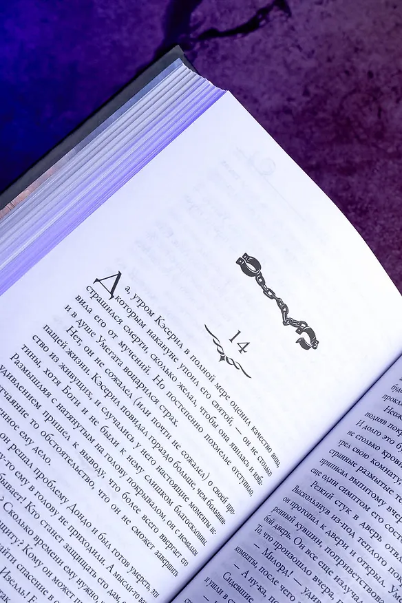 Книга Проклятие Шалиона (Лоис Макмастер Буджолд) — 13