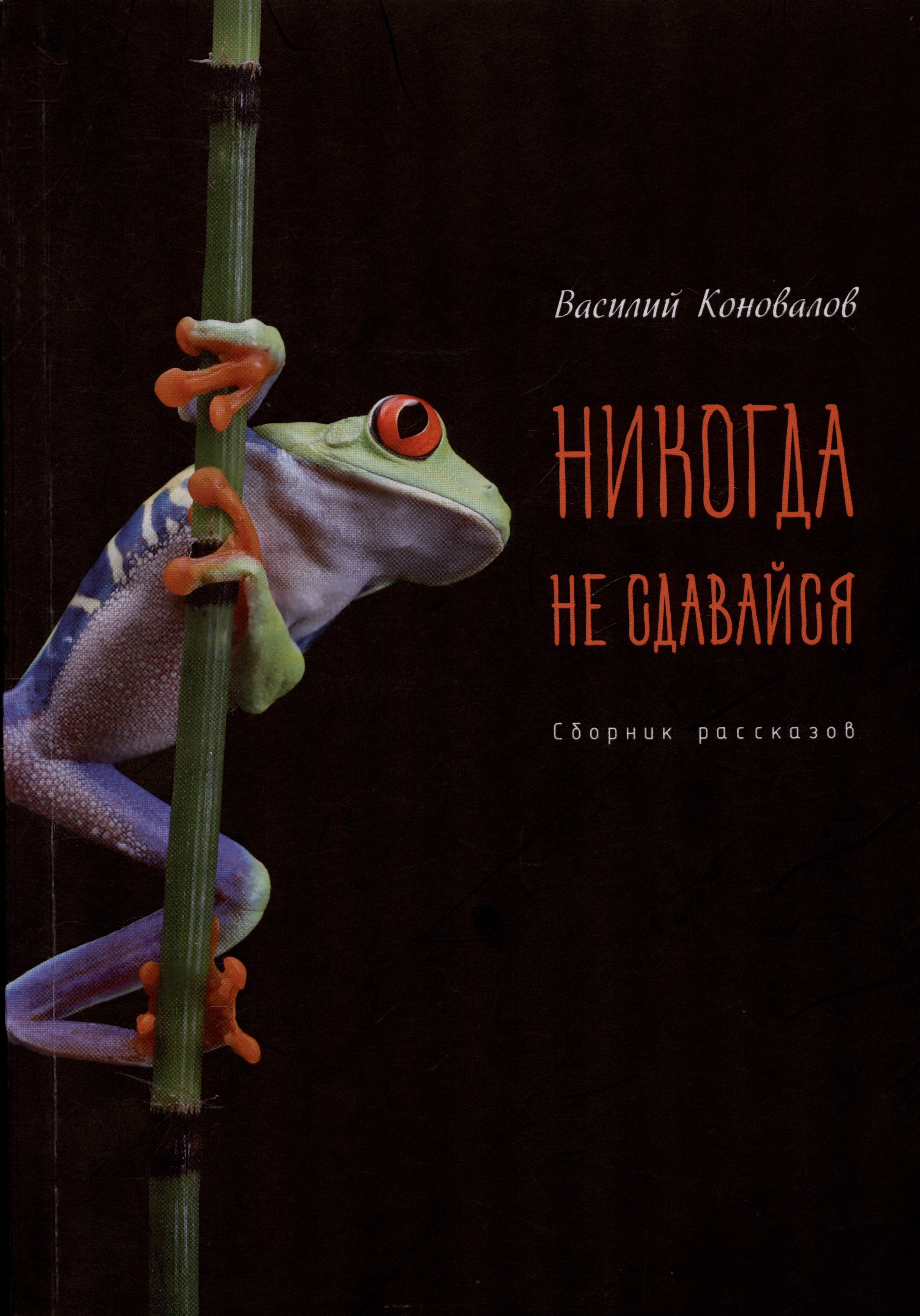 

Никогда не сдавайся