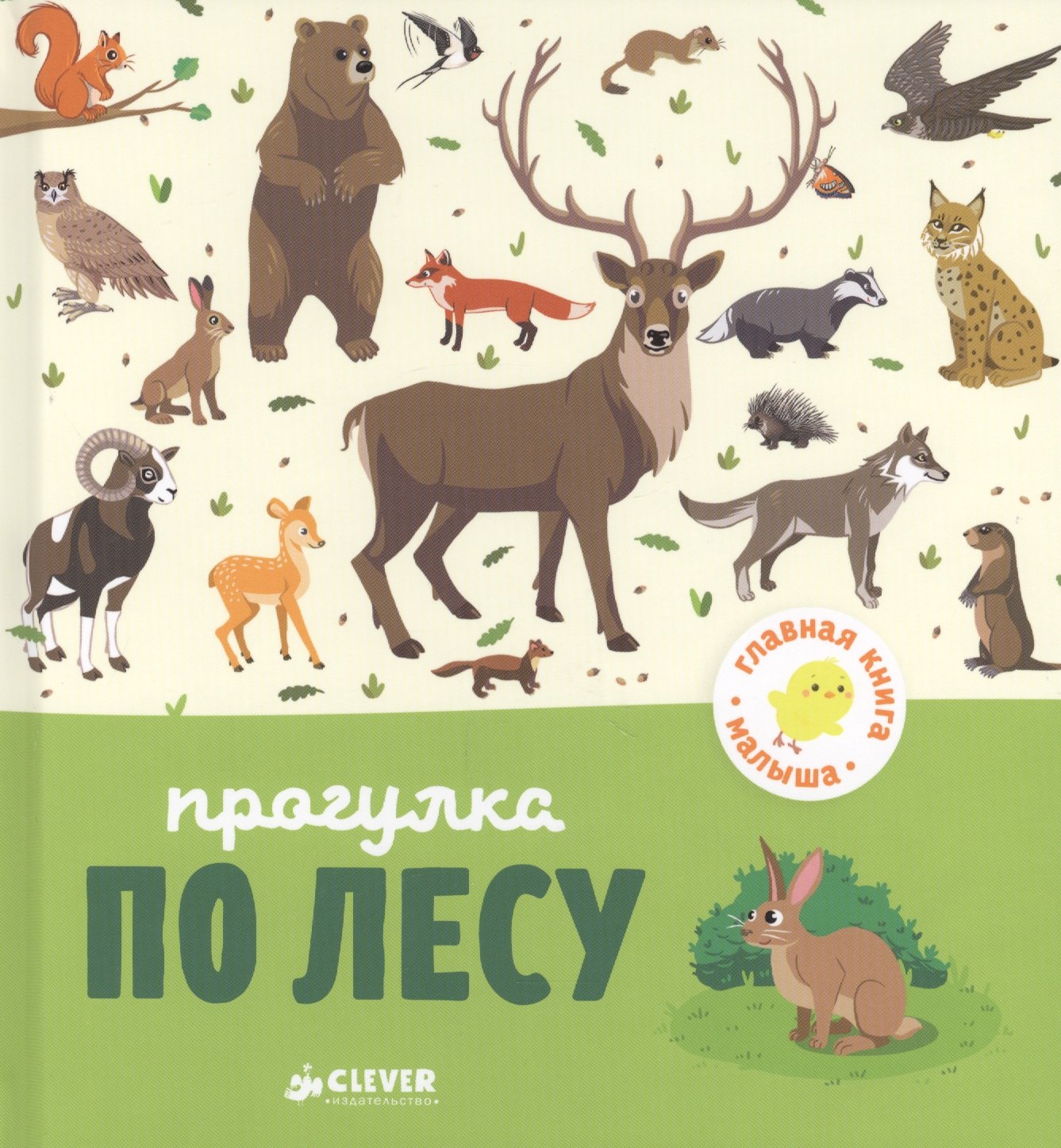 

Прогулка по лесу