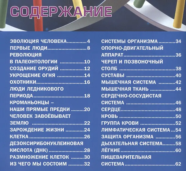Книга Человеческое тело. Энциклопедия для мальчиков и девочек(МЕЛОВКА) () — 2