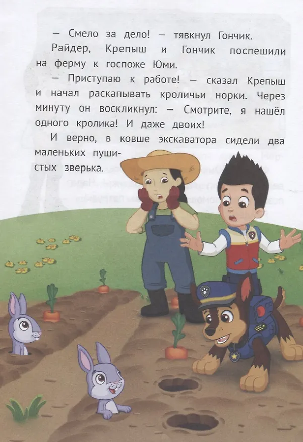 Книга Праздник дружбы. Щенячий патруль () — 4