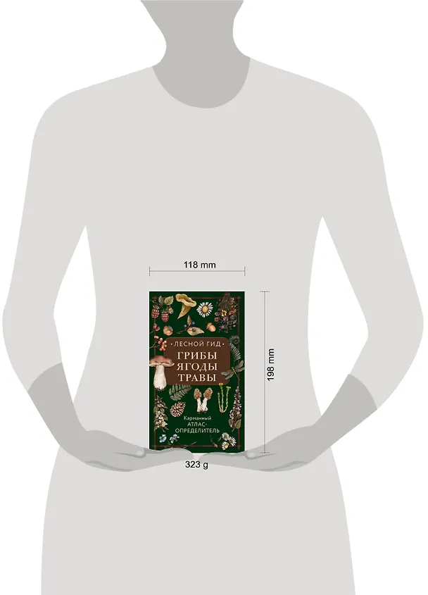 Книга Лесной гид: грибы, ягоды, травы. Карманный атлас-определитель (Людмила Семенова) — 9