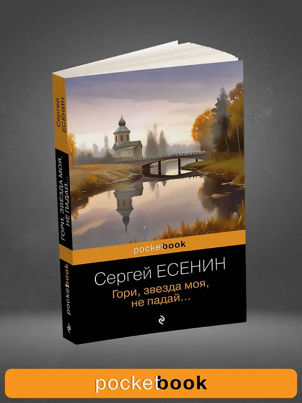 Книга Гори, звезда моя, не падай... (Сергей Есенин) — 5