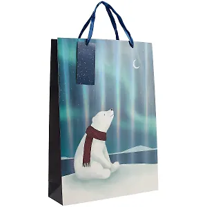 Пакет А3 46*33*10 Северное сияние дет., бум.мат.ламинат