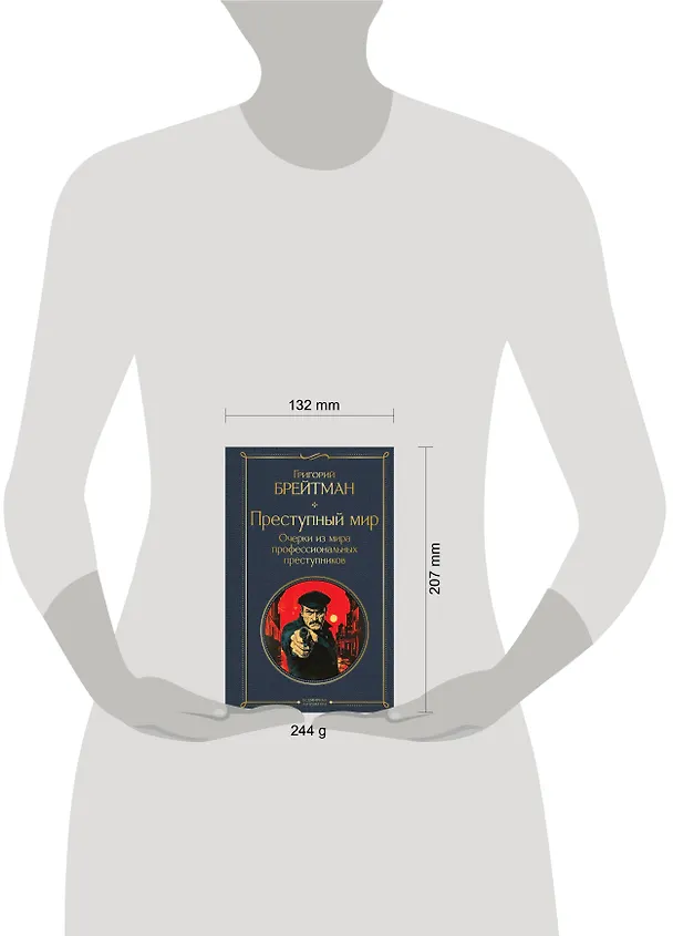 Книга Преступный мир. Очерки из мира профессиональных преступников (Григорий Брейтман) — 5